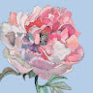 Meet your Posher, Cathy